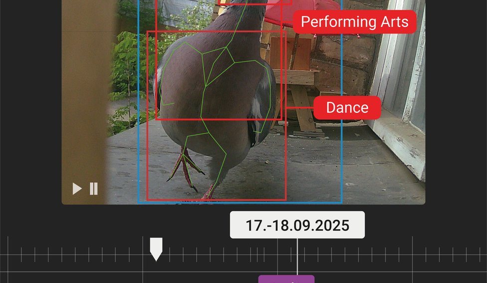 Video Annotatathon